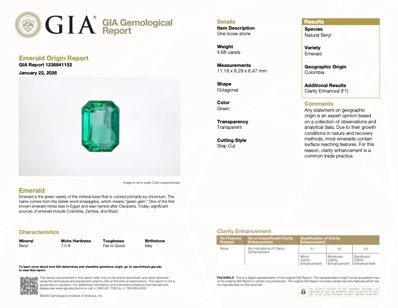 4.68 Carat Emerald - Colombian - GIA - CLOSEOUT - Image 3